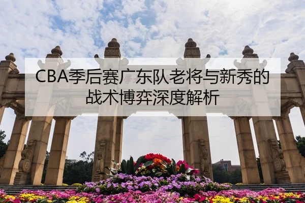 CBA季后赛广东队老将与新秀的战术博弈深度解析